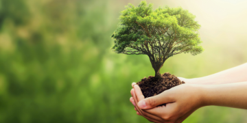 Fuzul’den 2025 çalışanı adına Çanakkale ve Şanlıurfa’ya 2025 fidan bağışı