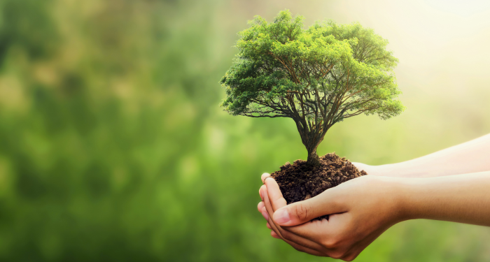 Fuzul’den 2025 çalışanı adına Çanakkale ve Şanlıurfa’ya 2025 fidan bağışı